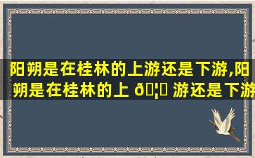 阳朔是在桂林的上游还是下游,阳朔是在桂林的上 🦆 游还是下游呢